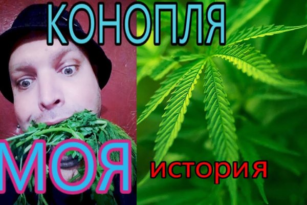 Кракен лег