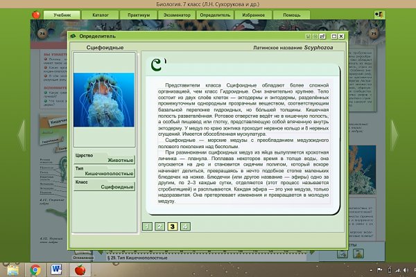 Ошибка на сервере кракен