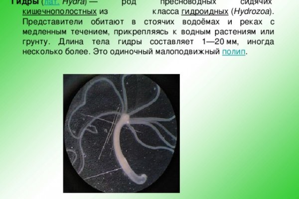 Ссылка на kraken at